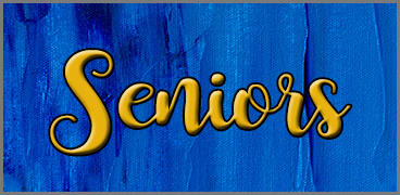 banner that says seniors