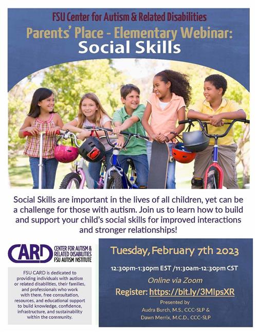 Social Skills Webinar