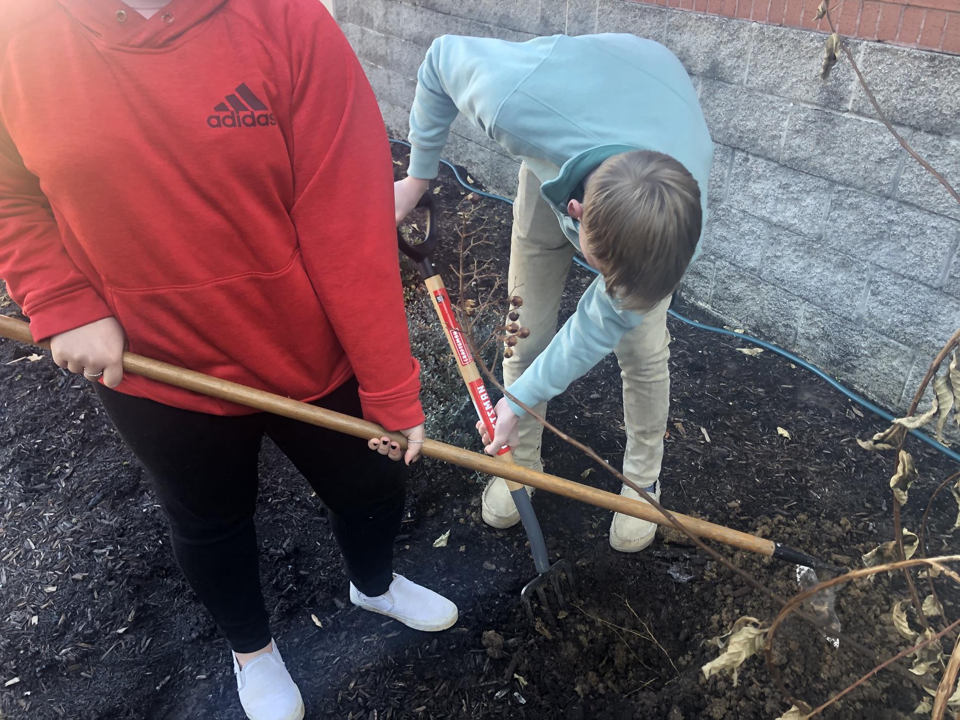 Digging The Hole For The Daffodils