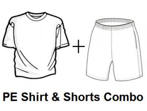 2023 Fisler Spirit Rally AUCTION