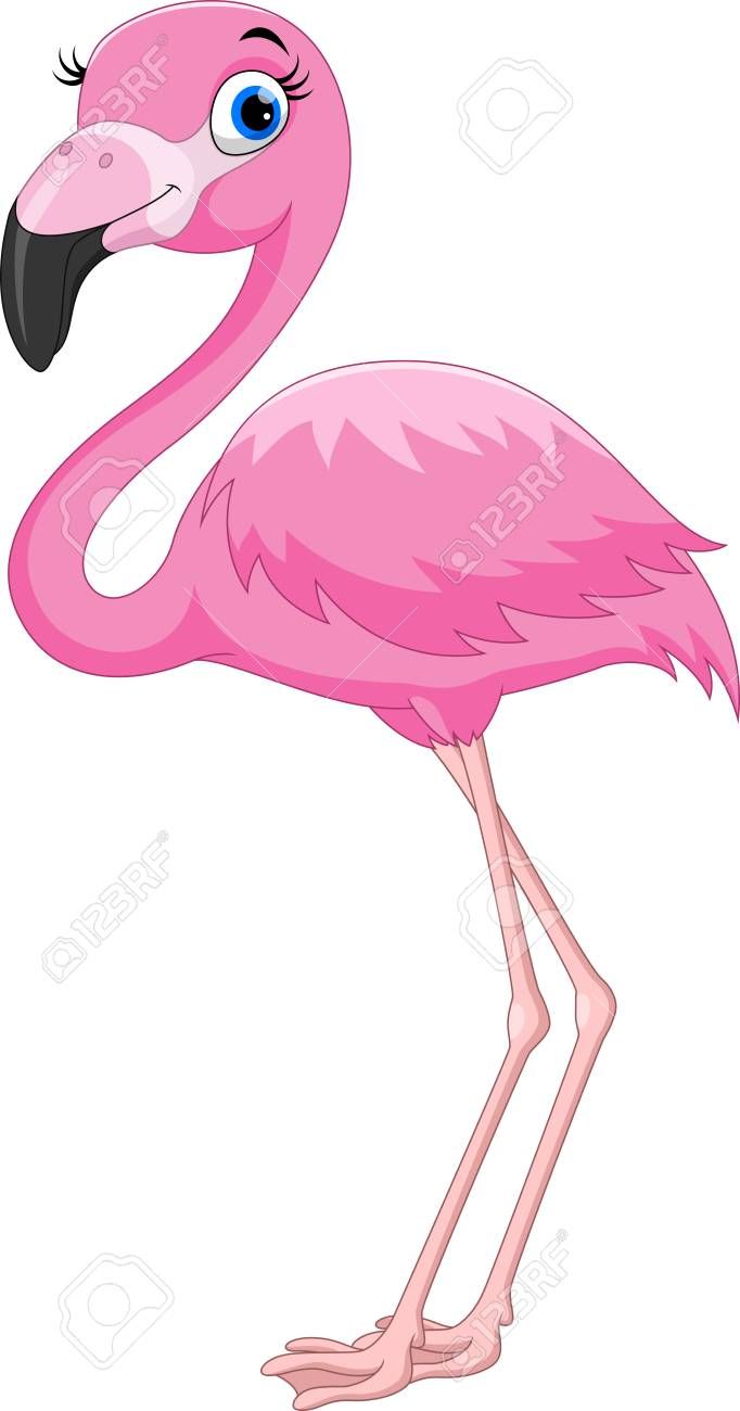Cartoon pink flamingo bird Stock Vector - 104461035 | Pink flamingos birds,  Flamingo pictures, Flamingo illustration