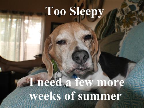 more summer more summer