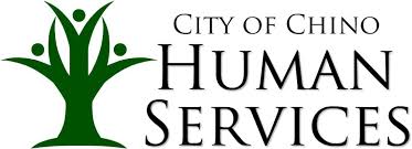 human services 