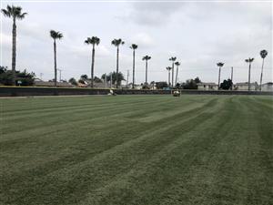 Sod on new Baseball fields 