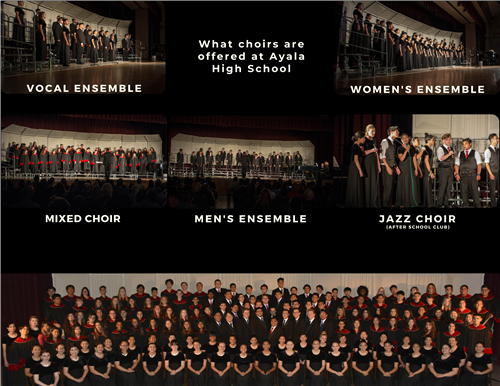 What choirs are offered 