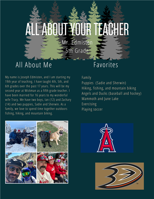 All About Your Teacher