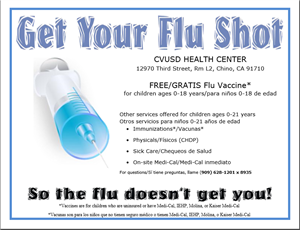 Flu Flier 