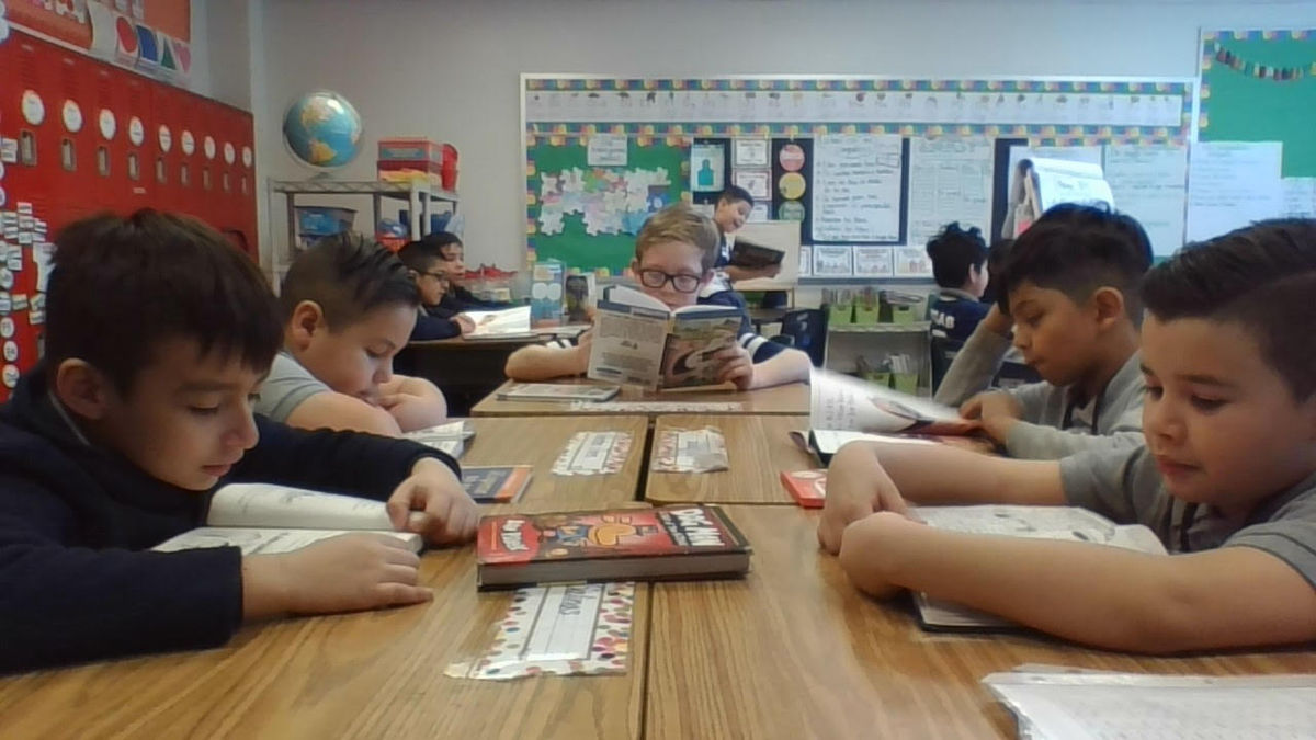 Classroom libraries rule!