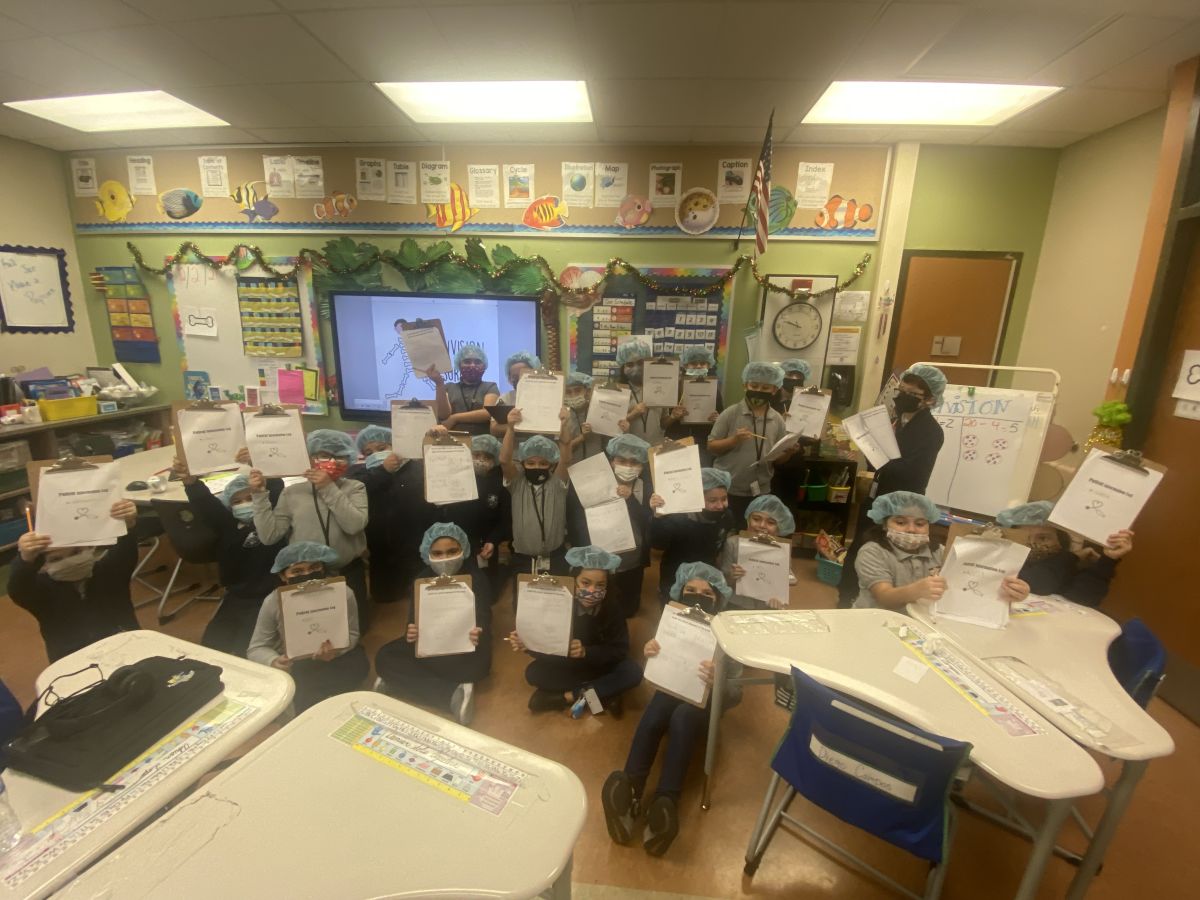 3rd Grade Performs Division Surgery