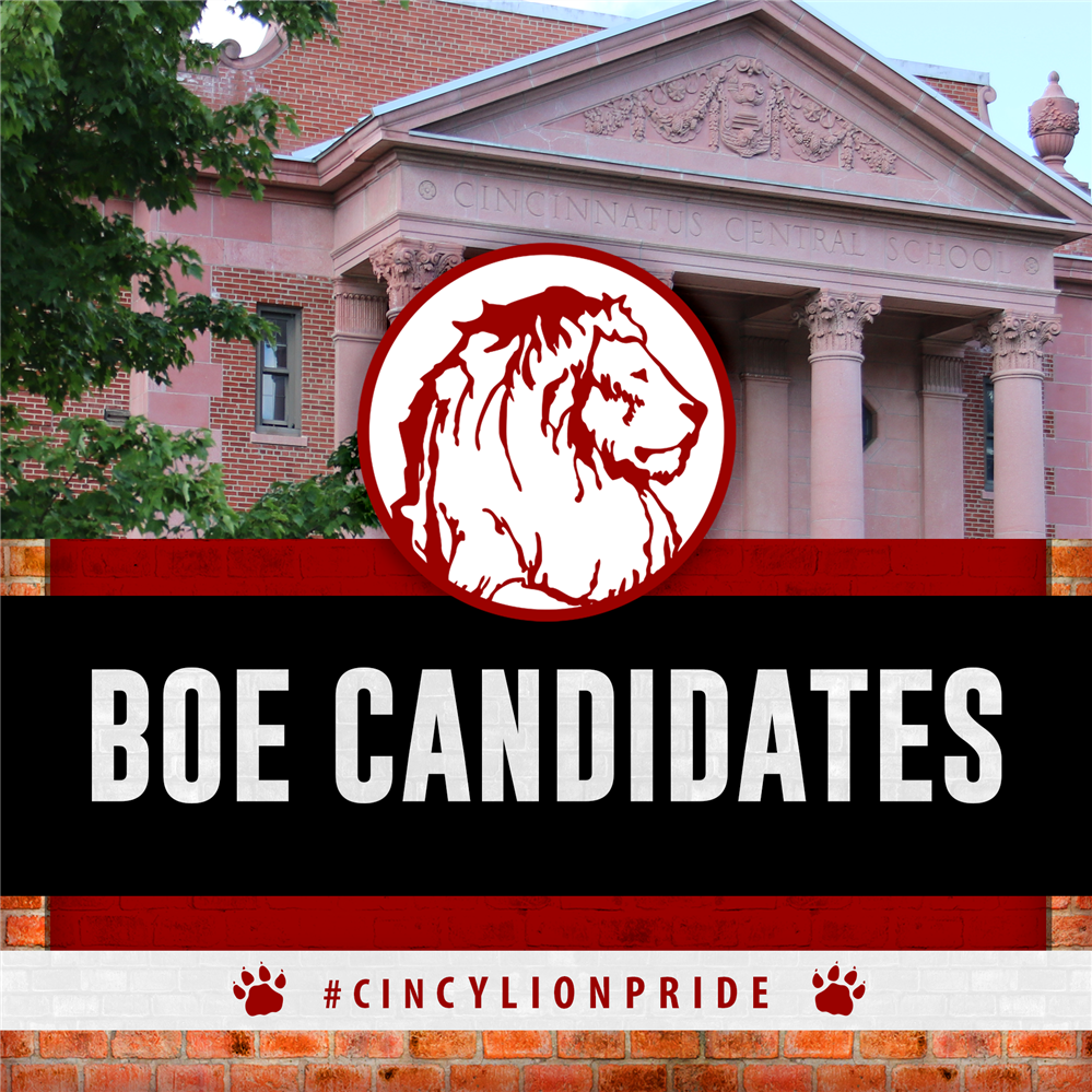  A graphic reading BOE Candidates