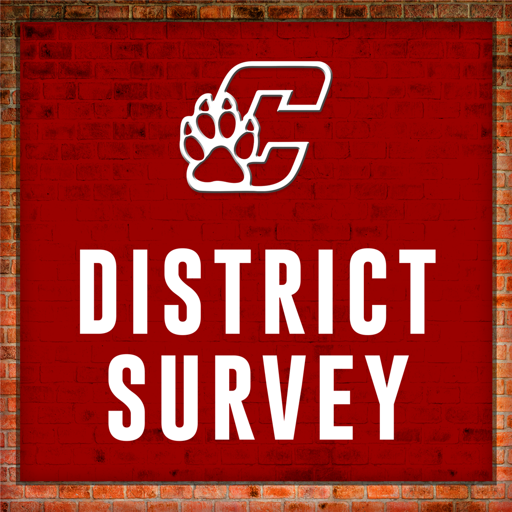  A graphic that says "District Survey"