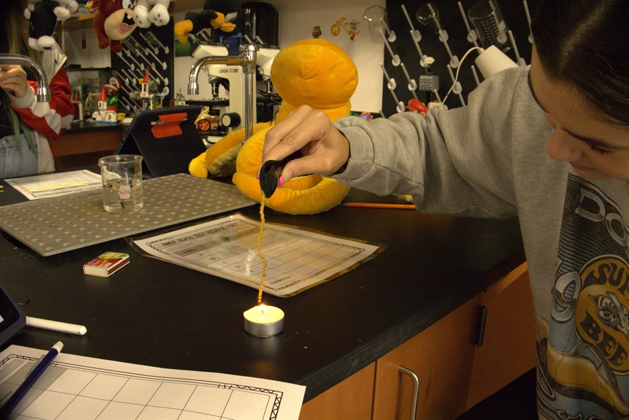 Crystal River High School Students conduct experiments