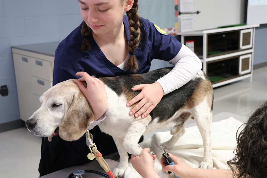 CRHS Vet Techs and Buddy the dog