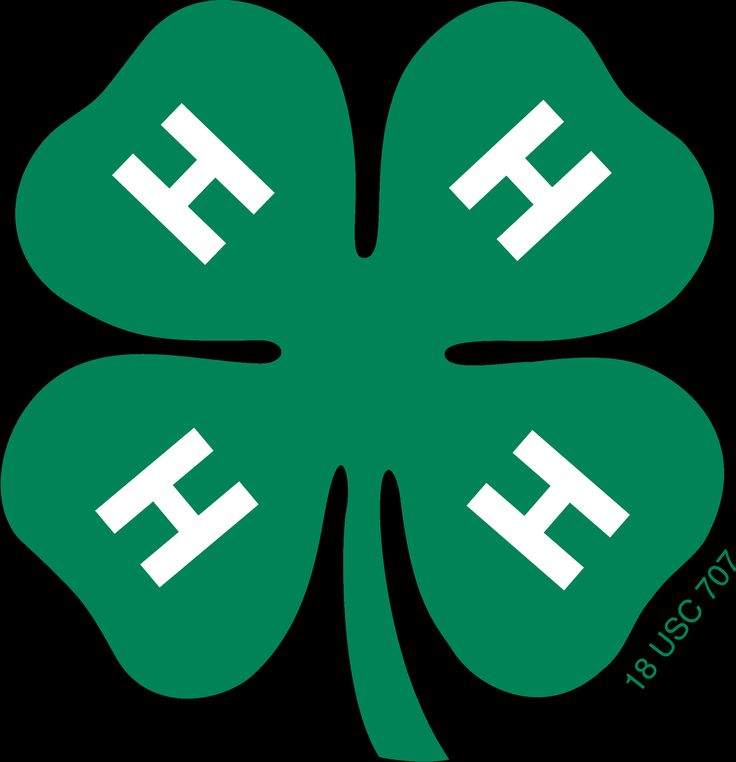 4H logo