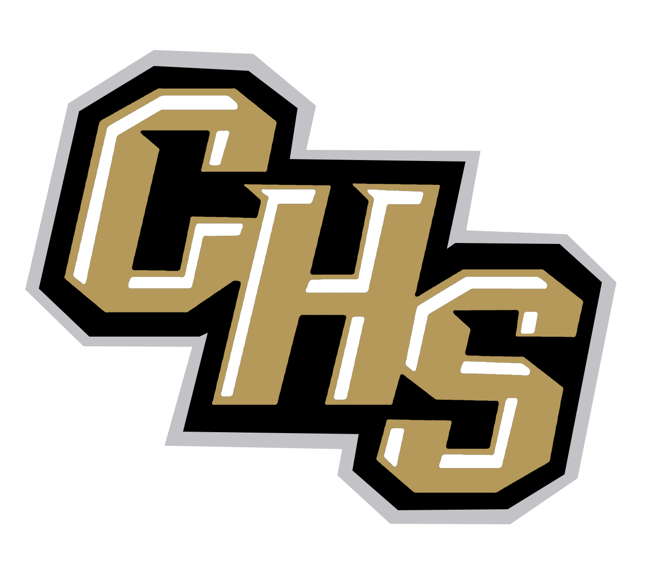 CHS logo