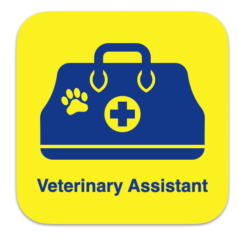 Vet Assisting