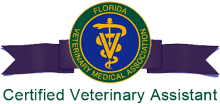 Certified Vet Assistant