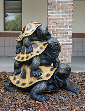 picture of turtle statue