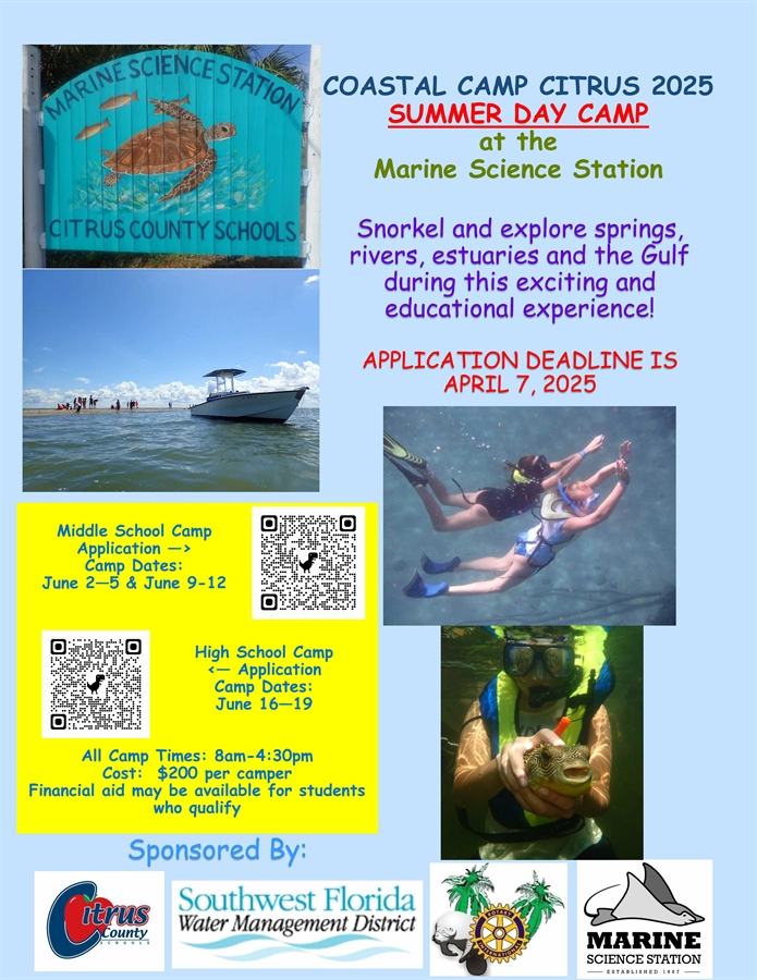 people snorkeling and in water around boats