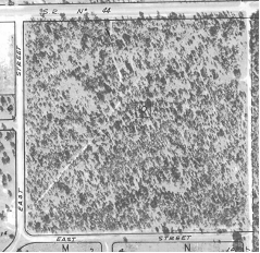 picture of 1966 land tract
