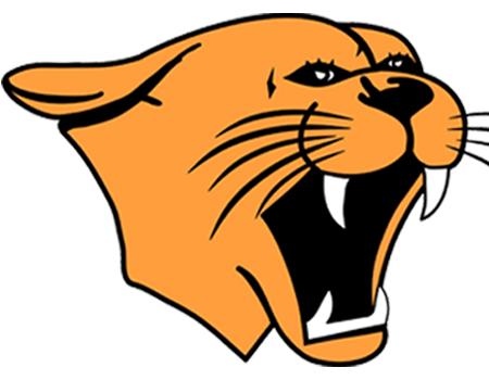 Custer Elementary School Logo