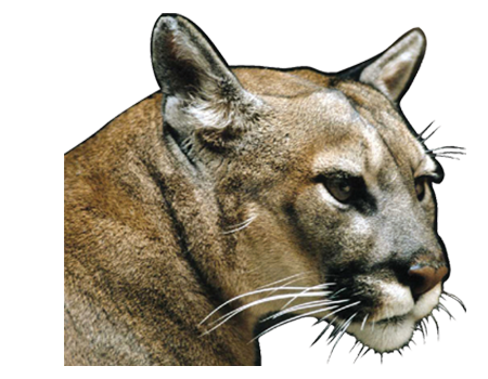 Lake Louise  Elementary School Logo