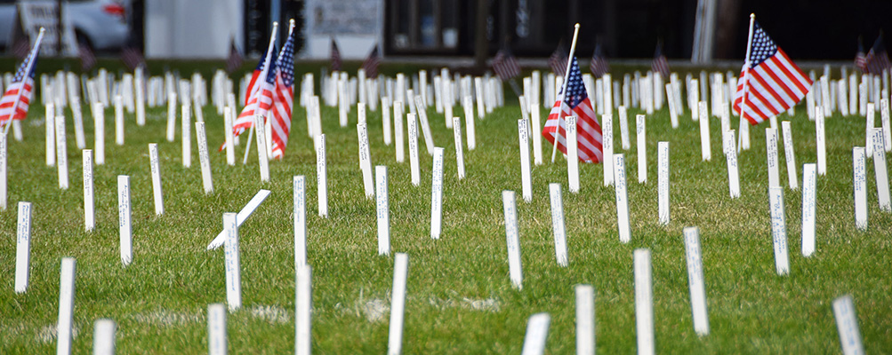 The Arlington Project 