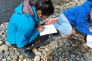 CTE student participates in field work CTE student participates in field work
