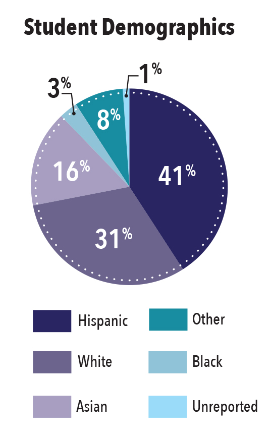 Student Demographics