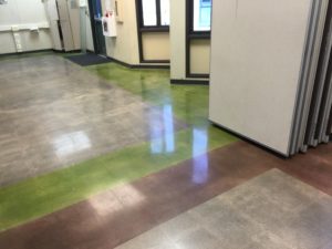 Polish Concrete Floor