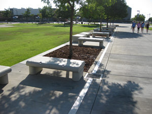 Amphitheater Seating