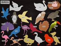 Birds Die-Cuts