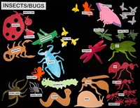 Insects and Bugs Die-Cuts