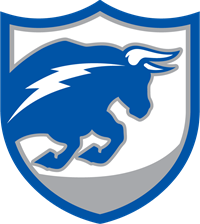 Boris Chargers logo