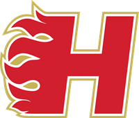 Hirayama Logo