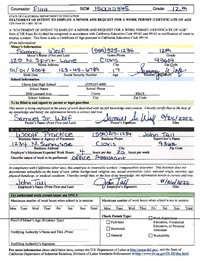 Work Permit Application Image 