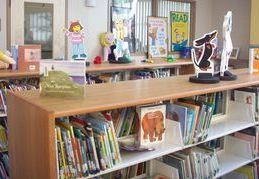 Books on shelves in an elementary school library.