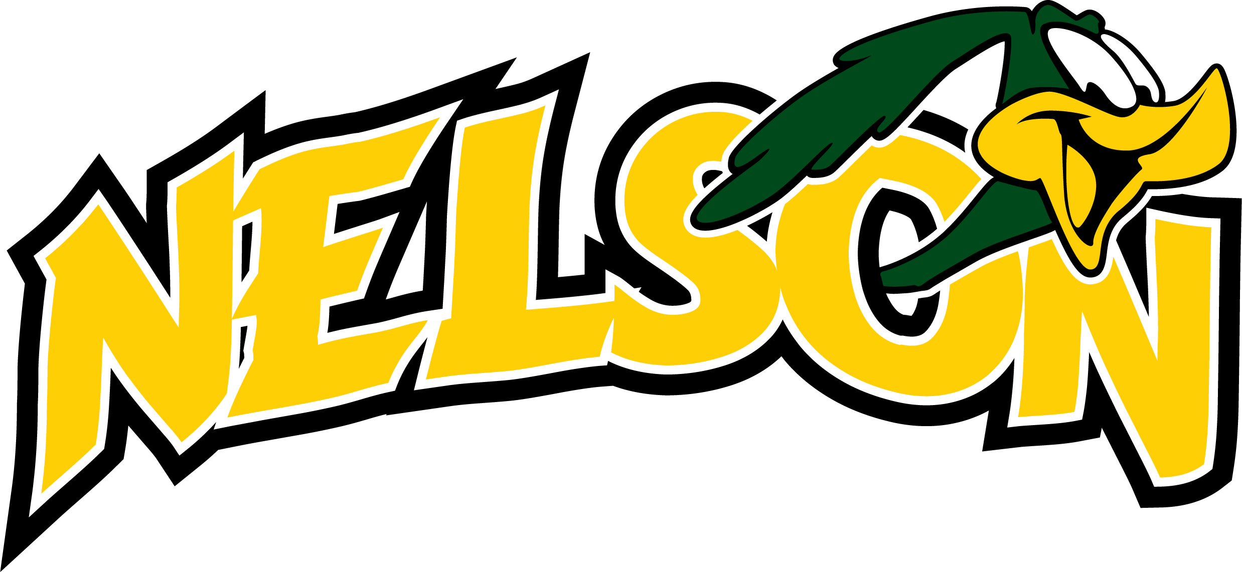 nelson logo