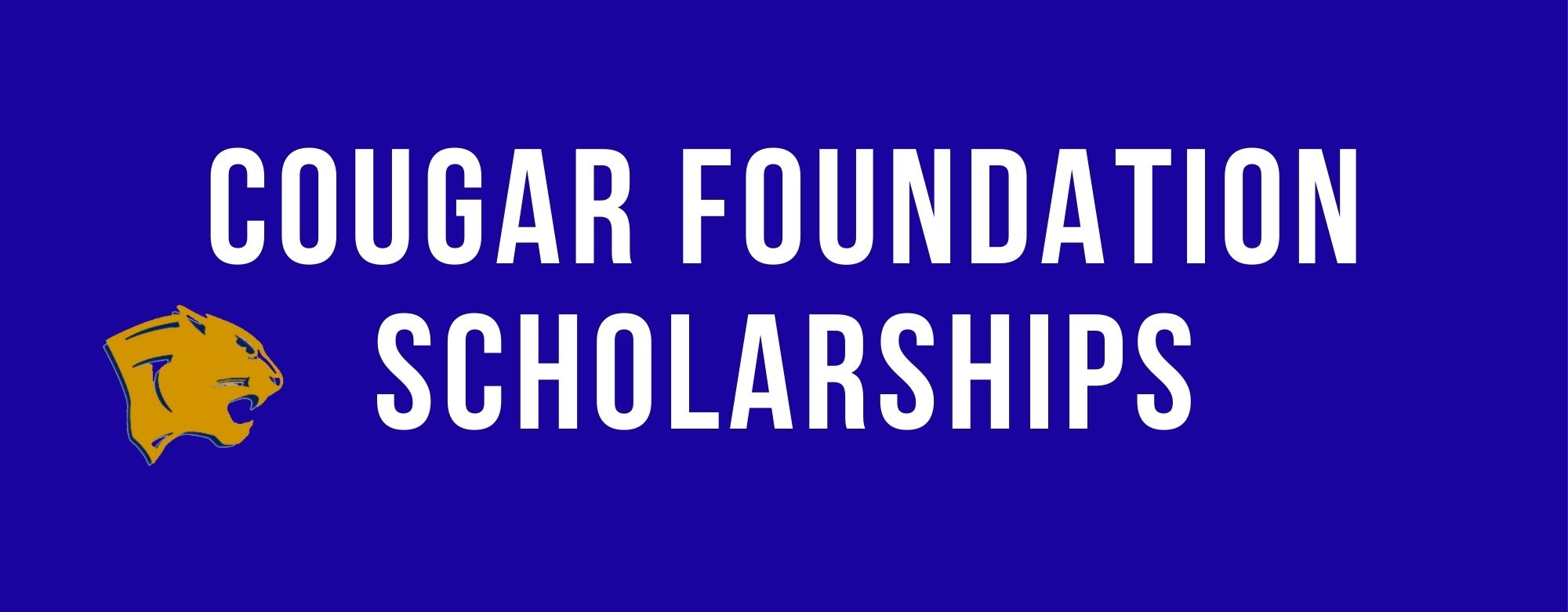 Cougar Foundation Scholarships banner