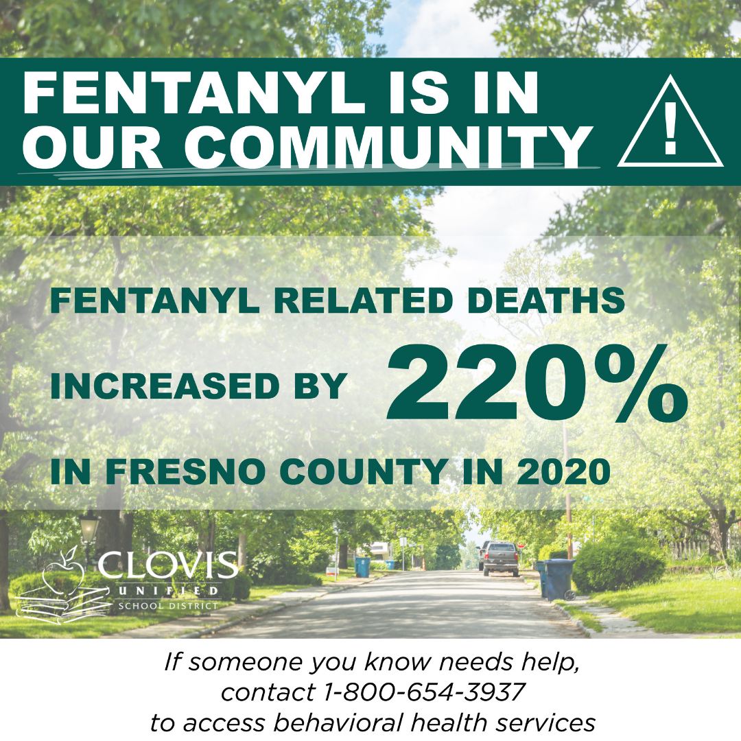 Fentanyl Campaign Student Grpahic 1