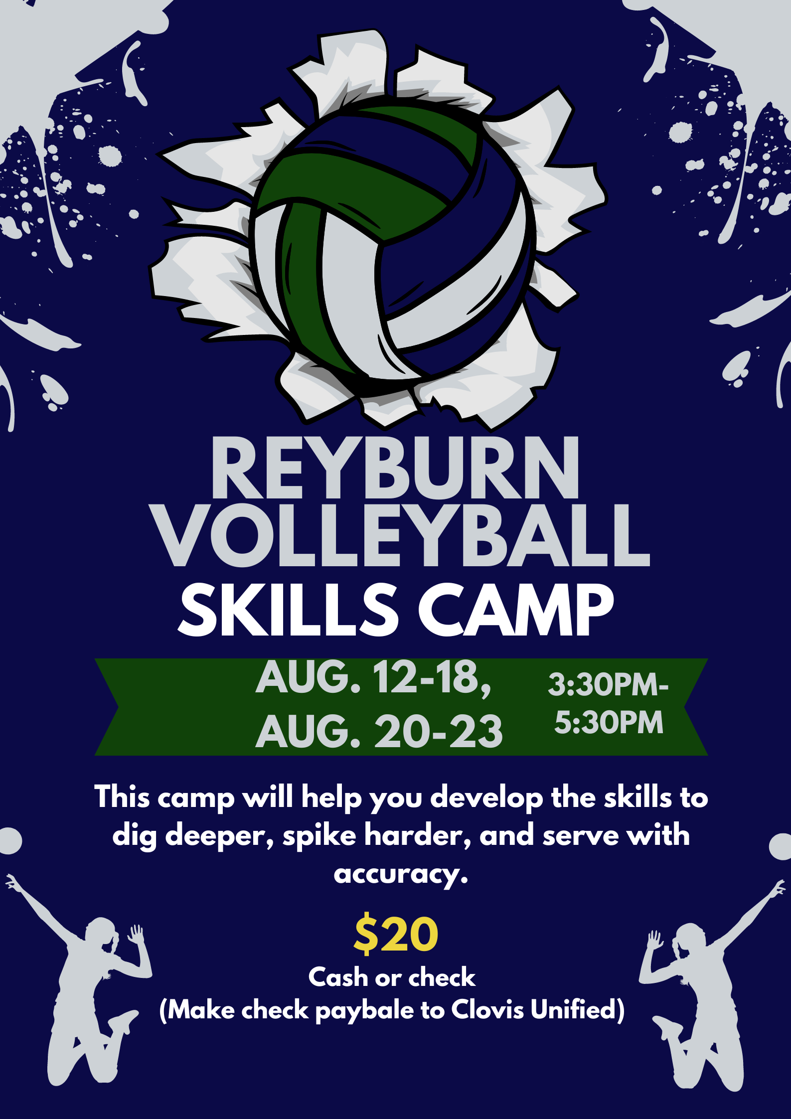 Volleyball Skills Camp