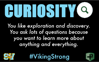 Curiosity definition