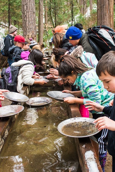 Kids panning for gold