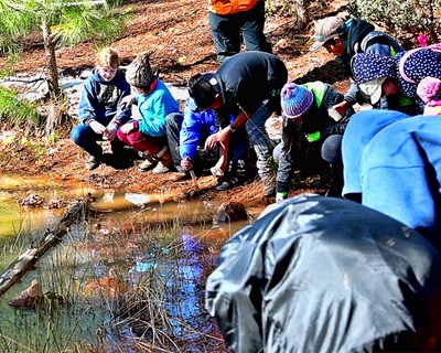 students next to pond