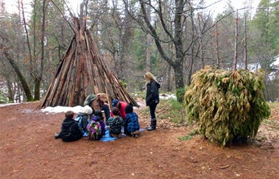 teepee made of wood sticks