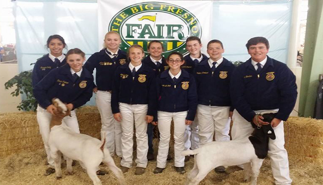 Students at fair with goats