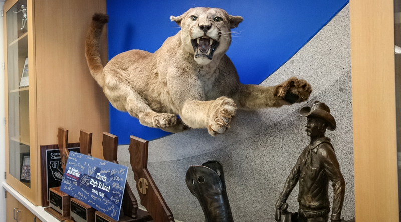 Stuffed Cougar