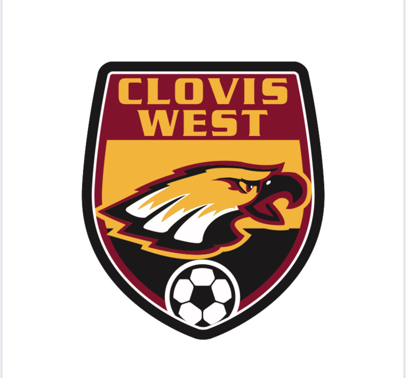 Embedded Image for:   (Boys Soccer Logo3.jpeg)