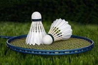 picture of badminton racket 