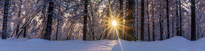 sunset in snow